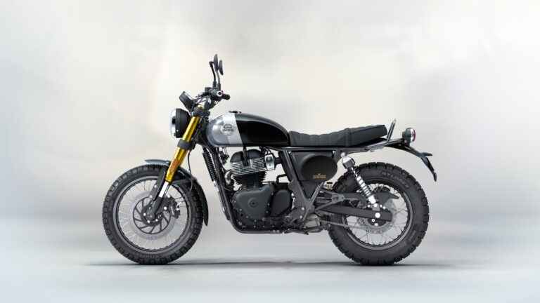 Bear 650